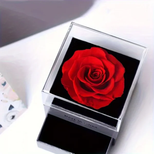 Elegant Infinity Heart Shape With Luxury Rose Gift Box - Image 5